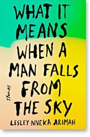 What It Means When a Man Falls From the Sky By Lesley Nneka Arimah
