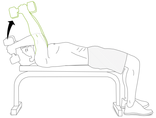 Lying Tricep Extension Exercise