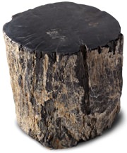 RH Petrified Wood Stump Table