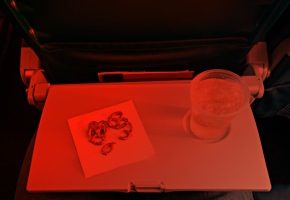 Airplane seat-back tray table