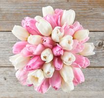 The Bouqs Pink and Whit Tulips Bouquet