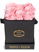 Venus et Fleur Le Mini Box of Spray Roses