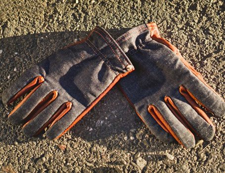 Grifter Selvedge Denim and Bison Skin Gloves