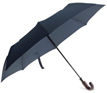 ShedRain Umbrella