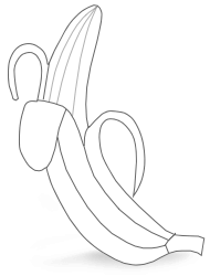 Banana illustration