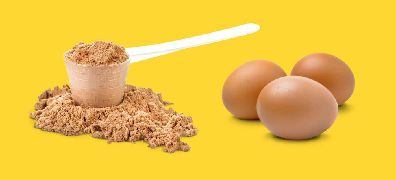 Protein shake alternatives