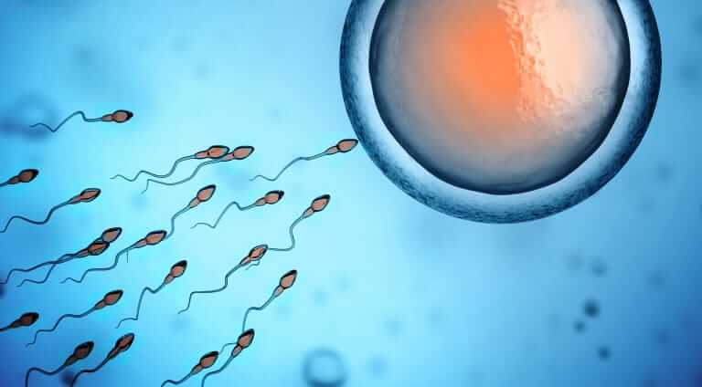 A Male Fertility Crisis