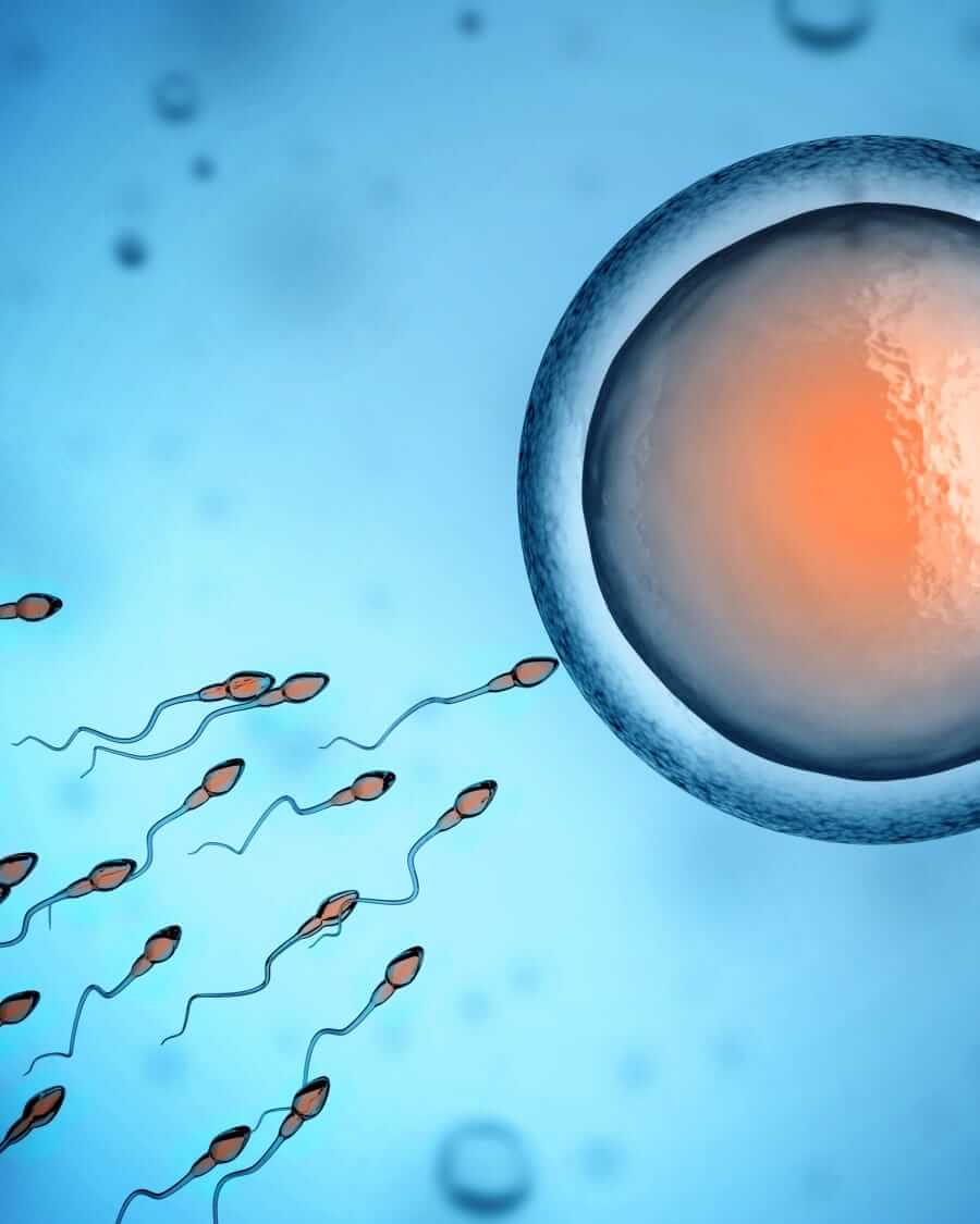 Male sperm count trends