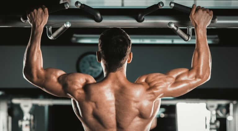 Three Essential Back Exercises