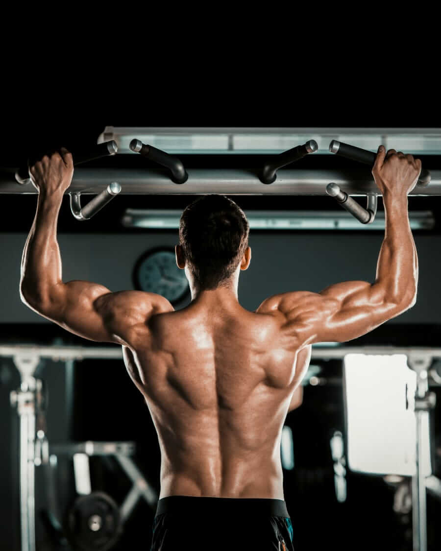 Essential back exercises