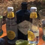 Gin & Tonic cocktail