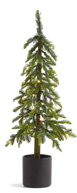 Crate & Barrel Potted Slim Alpine