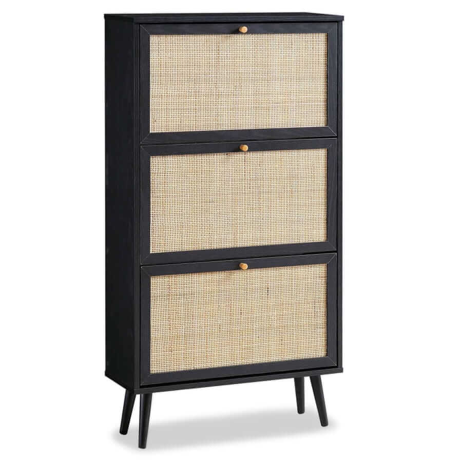 Daals Rattan shoe cabinet