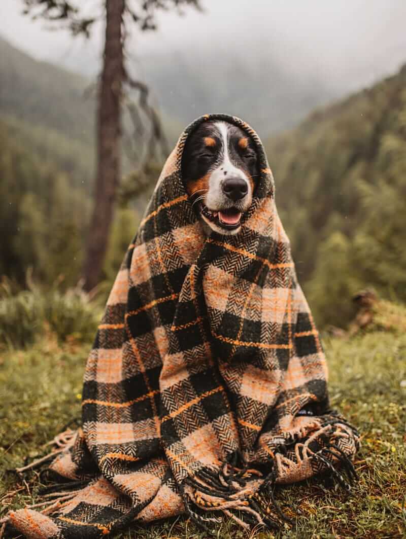 Sackcloth & Ashes Vintage hunter plaid blanket