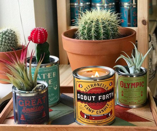 How to reuse your candle metal can