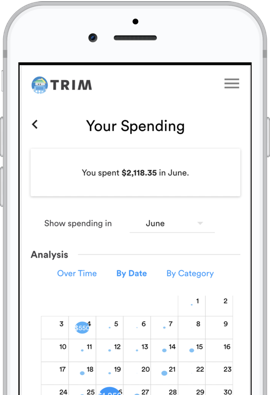 Trim Financial Spending Analysis Tool