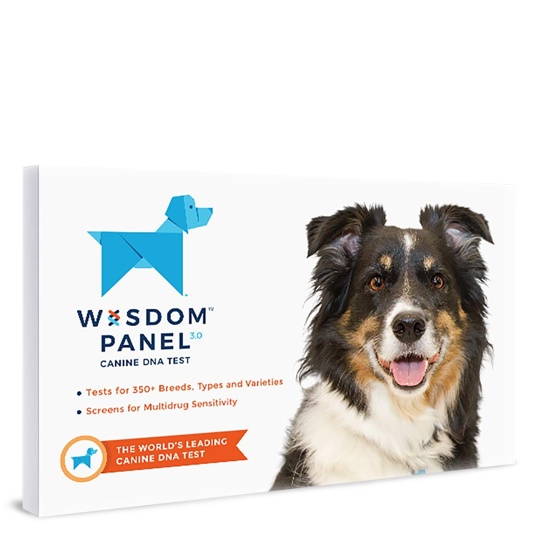 Wisdom Health Dog DNA Test Kit