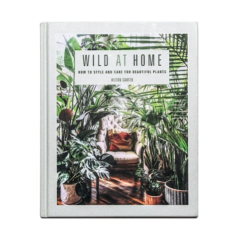 Wild at Home by Hilton Carter