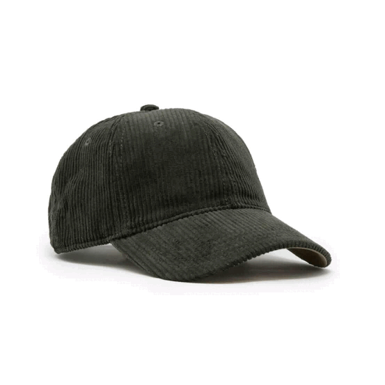 Todd Snyder Corduroy cap