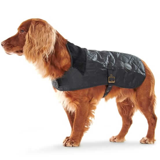 Barbour Quilted dog coat