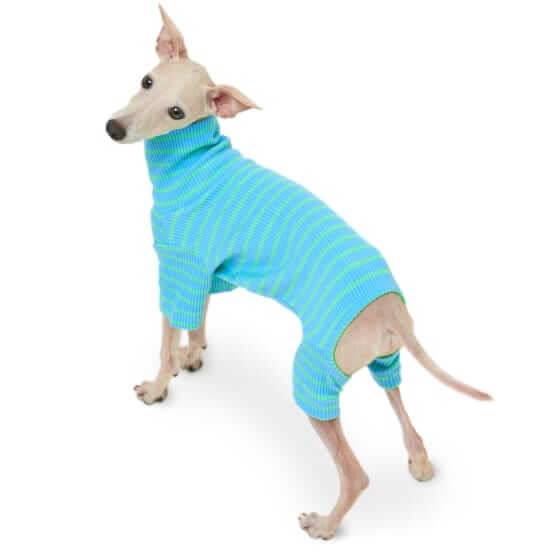 Little Beast Hella Cool onesie