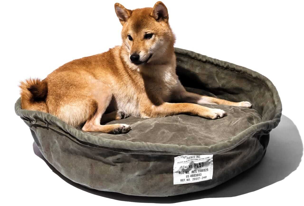 Puebco Vintage tent bed