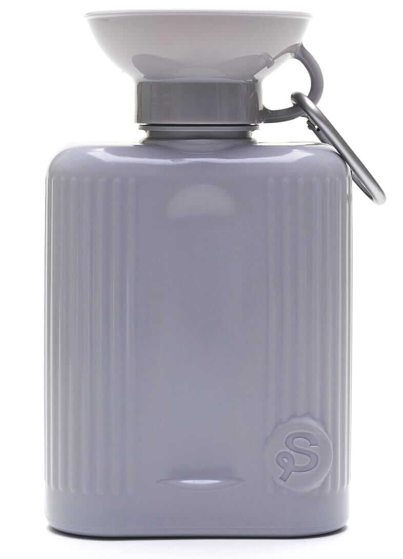 Springer Travel water bottle