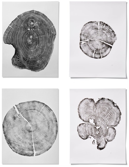 Erik Linton Fallen Treen Cut Print Art