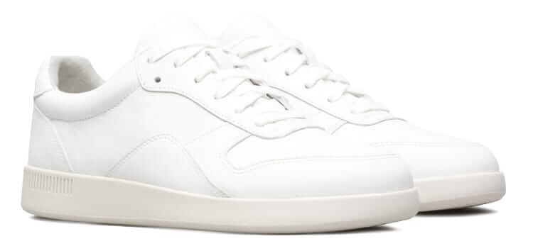 everlane court sneaker