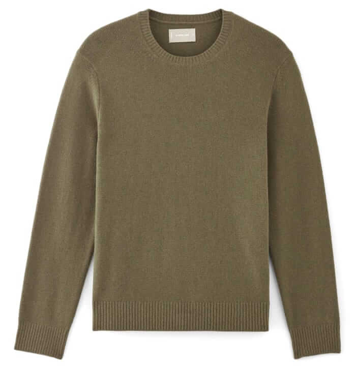 Everlane Premium merino crew neck sweater