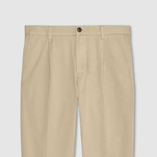 Everlane Pleated chino