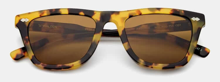 Walden Passage polarized sunglasses