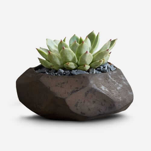 Terrain boulder planter