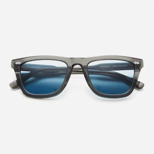 Walden passage sunglasses