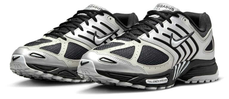 Nike Air Pegasus 2005