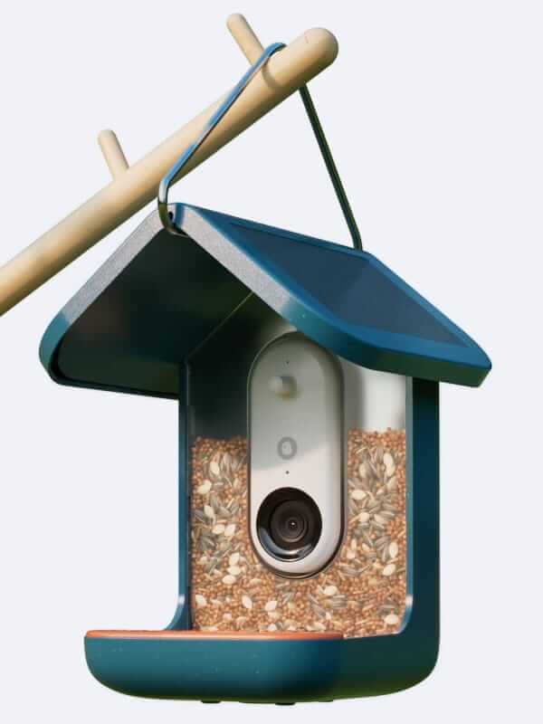 Bird Buddy Smart bird feeder with solar roof