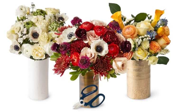 urbanstems floral subscription