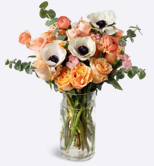 UrbanStems The Aurora