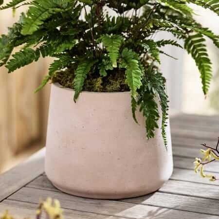 terrain cement planter