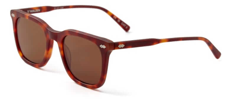 Walden River Sunglasses