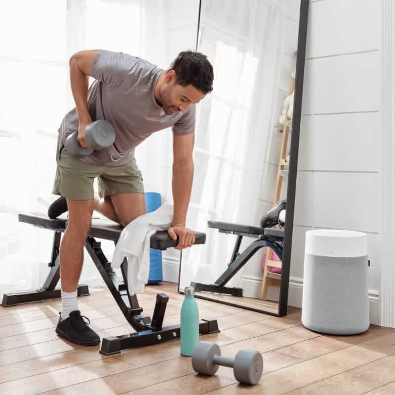 Blueair Blue Pure 311i Max air purifier