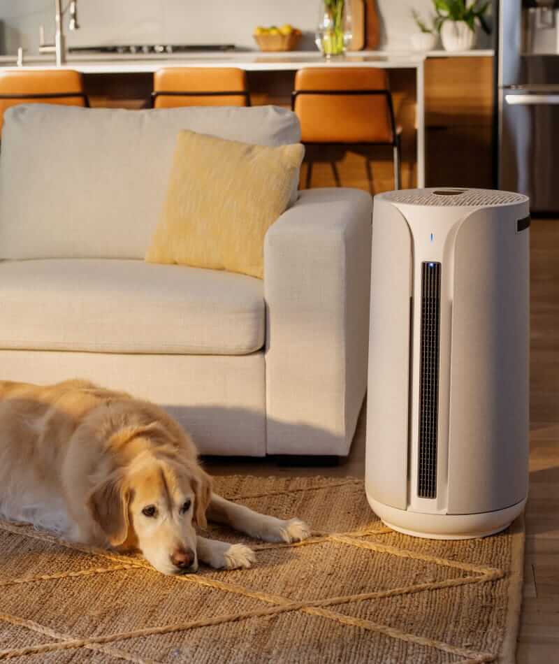 Blueair ComfortPure 3-in-1 air purifier