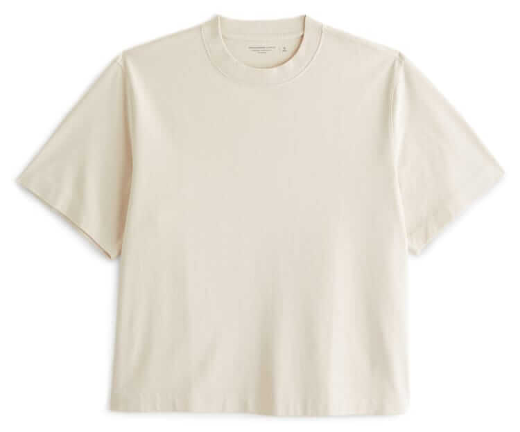 abercrombie & fitch premium heavyweight t-shirt