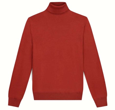 Aurelien Extrafine Merino Rollneck