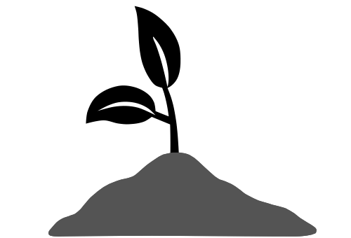 Plant blooming illustration