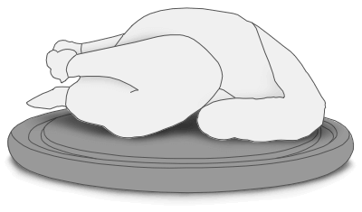 Cooked turkey illustration