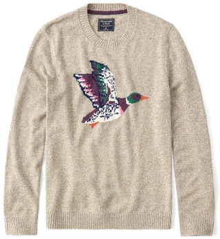 Abercrombie & Fitch Graphic Sweater