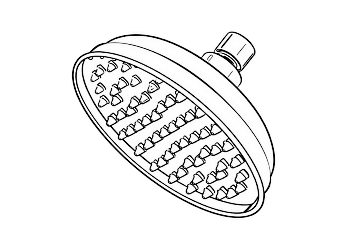 Why You Should Try Dark Showers