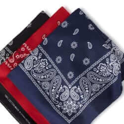 Levi's Cotton Bandanas