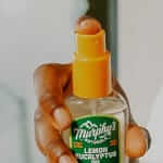 How to Deal With Bugs